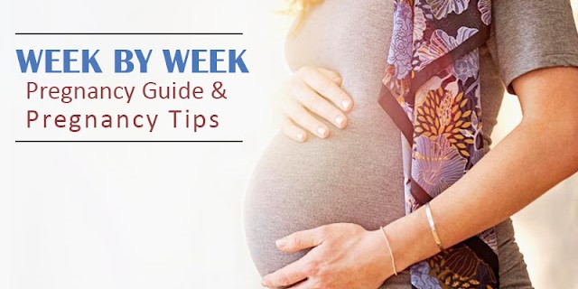 Dr Indira Ganeshan Pregnancy Guide